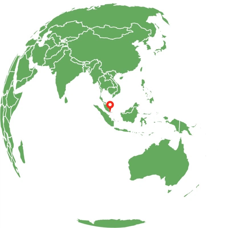 シンガポール