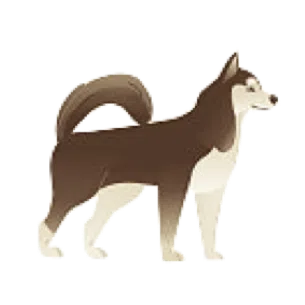 樺太犬