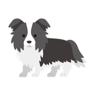 ボーダー・コリー