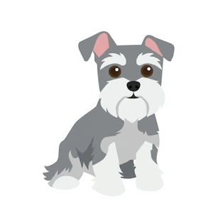 ミニチュア・シュナウザー