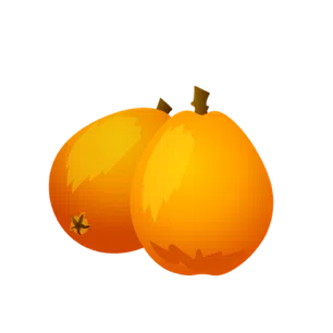 ビワ