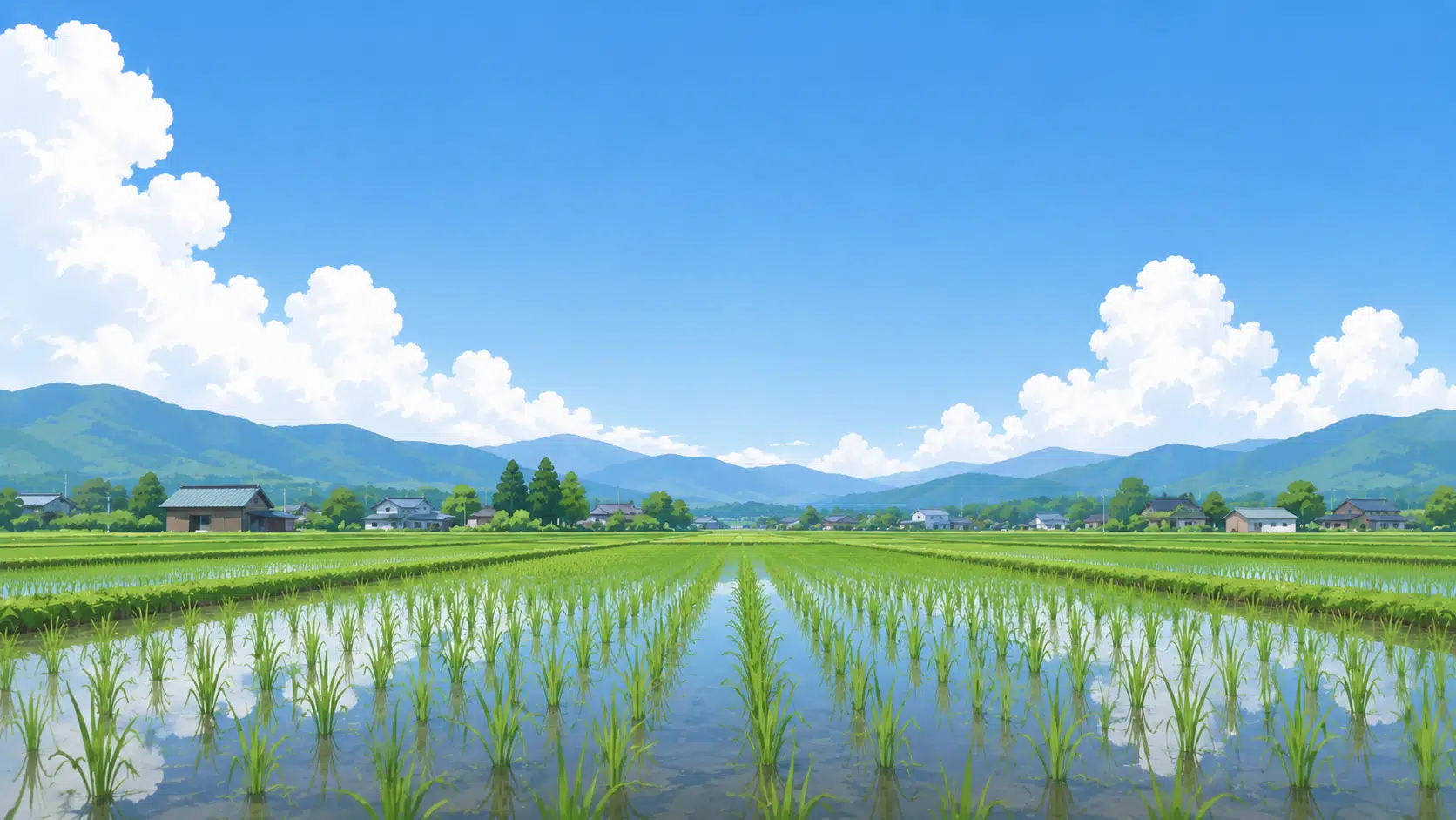 田んぼ