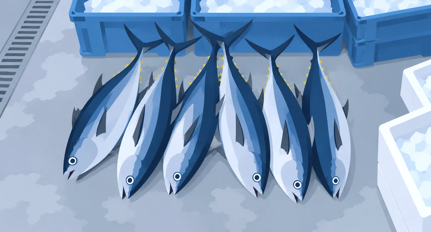 マグロ